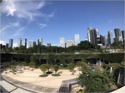 深圳中心城区再添新景！广深港高铁福田站有一扇植物绿墙