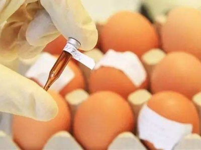每天吃两个半“毒蛋”无害？韩政府解释遭舆论狠批