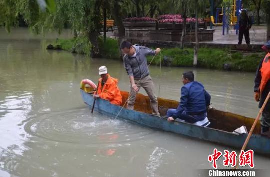 云南丽江古城水源变色引猜疑 官方：系多甲藻水华