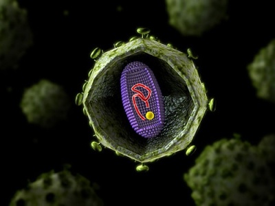 强生宣布HIV疫苗临床试验结果：志愿者100%产生抗体