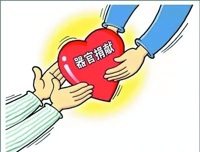 让“二次生命”更好地延续在法治轨道上