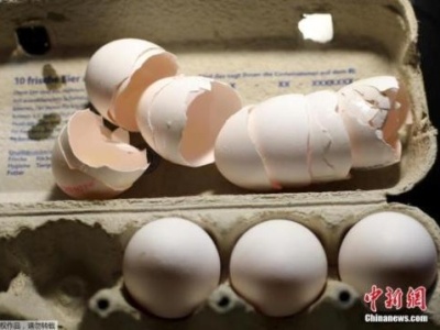 韩政府回收数十万枚毒鸡蛋 超市将恢复正常销售