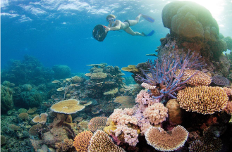 遇见绝美大堡礁，深圳直飞凯恩斯航线12月开通！
