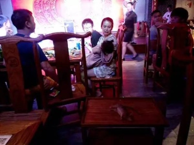 上海一火锅店天花板突掉老鼠 食客称不止一只