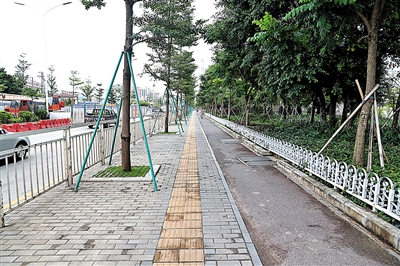 宝安环卫指数逆袭：各街道全都“消倒十”