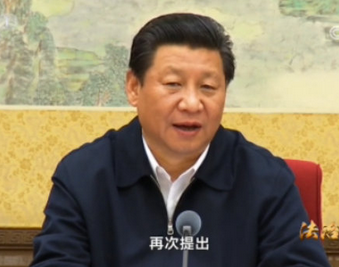 习近平谈冤假错案：做纠错的工作就是为了弥补伤害
