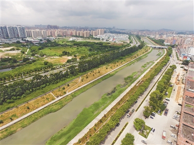 强力推进茅洲河流域工业污染源整治 深圳这么做