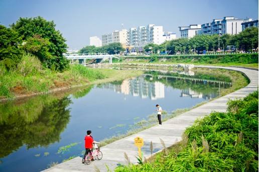 深圳湾、福田河已成市民游玩好去处和城市的靓丽风景线