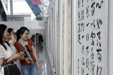 看展|去市民中心看“深圳香港澳门女书画家作品联展”