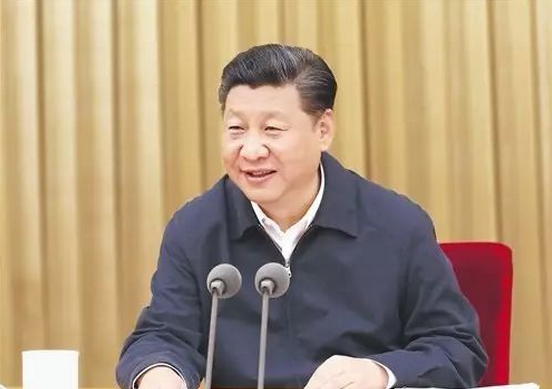 十九大召开在即，在组织生活会上普通党员习近平说了啥