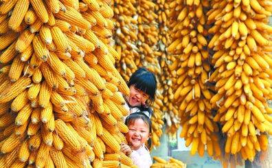 5年来每年超1000万人脱贫：负担轻了 日子稳了 