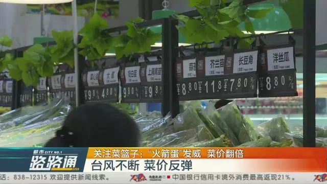 深圳“火箭蛋”发威!突破“五元”大关 菜价翻倍