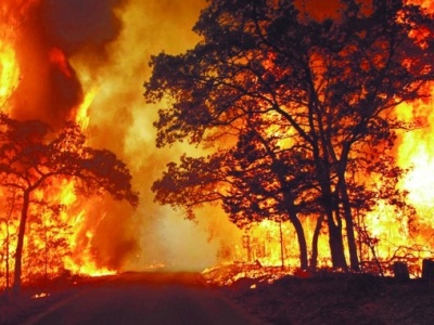 当地史上最大山火来势凶猛 洛杉矶宣布进入紧急状态