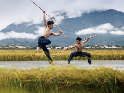 台湾现代舞大师林怀民：《稻禾》安顿现代人有机呼吸