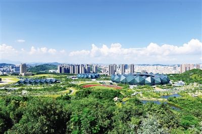 提档升级  龙岗开展生态文明建设“细胞工程”