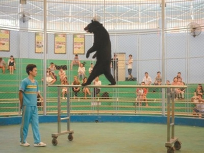 广州动物园宣布终止马戏表演 马戏团:将继续表演