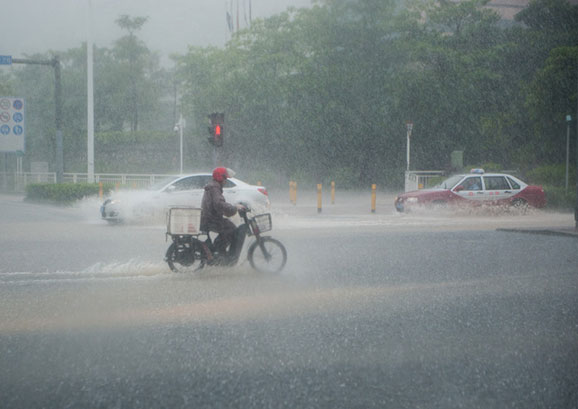 深圳发布暴雨红色分区预警，全市中小学停课！