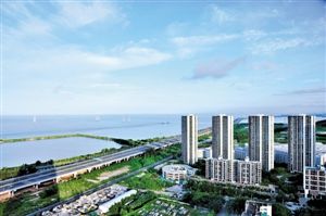 宝安区部署治水提质百日攻坚