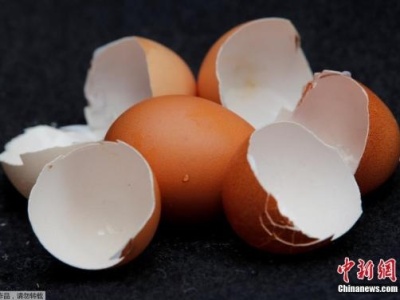 台湾“毒鸡蛋”余波未平 台南销毁逾两万封存鸡蛋  