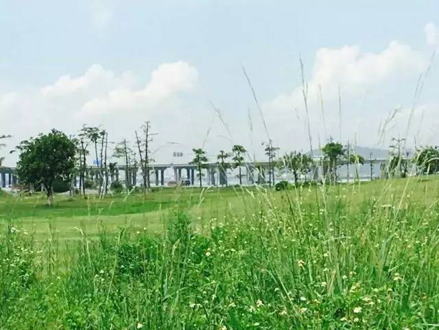 还有这种操作！搭地铁5号线就可以环游深圳这些地方 