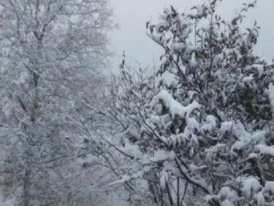 昨天北京下雪了！气象局和网友