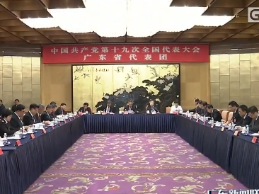 广东代表团举行全体会议 推选胡春华为团长