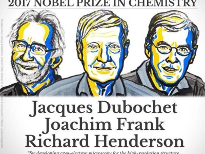 2017年诺贝尔化学奖揭晓 3位科学家分享奖项