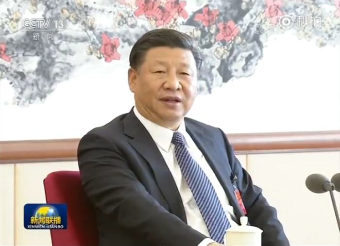习近平参加党的十九大贵州省代表团讨论