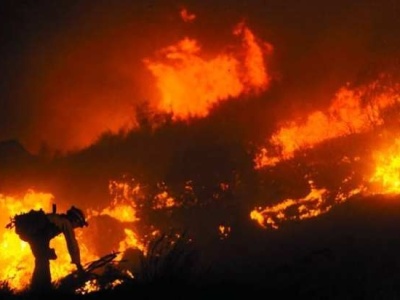 美国加州森林大火肆虐1个月仍未扑灭 已致42人遇难