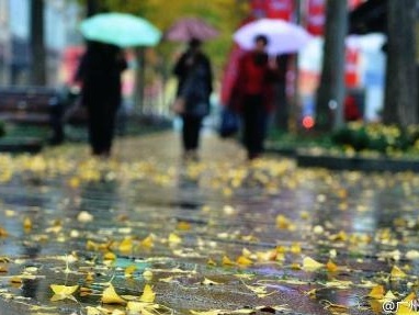 中秋赏月或泡汤？广东明天雷阵雨来了，最低温仅２５℃