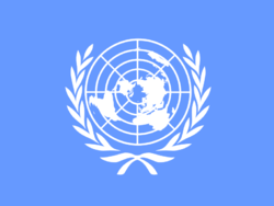 联合国大会选出15个人权理事会成员　　
