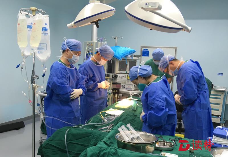 ​国庆这天，这位重症肝病患者重获新生！