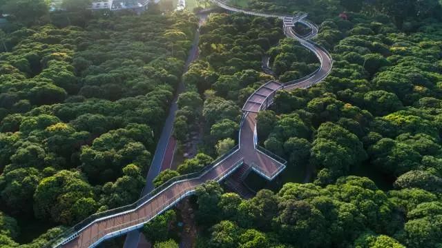 香蜜公园人行天桥开通啦！以后空中漫步不绕路