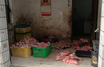 西乡网格员巡查发现一地下猪头肉加工作坊
