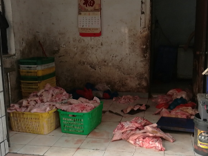 西乡网格员巡查发现一地下猪头肉加工作坊