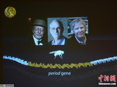 2017诺贝尔生理学或医学奖揭晓 三名科学家分享奖项