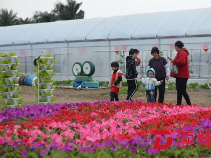 新去处！惠州四季绿及海纳两大农业公园同期开放