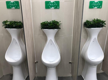 深圳“厕所革命”进行时:无味节水 一厕一景观