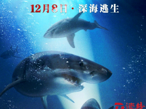电影《鲨海》深圳点映 鲨鱼和大长腿玩的就是心跳