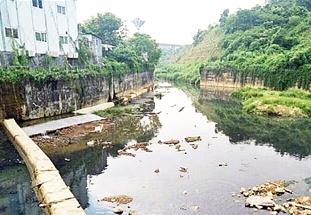 深圳市龙岗区四联河提前一个月完成黑臭水体整治