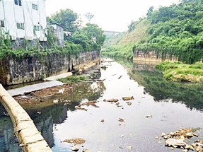 深圳市龙岗区四联河提前一个月完成黑臭水体整治