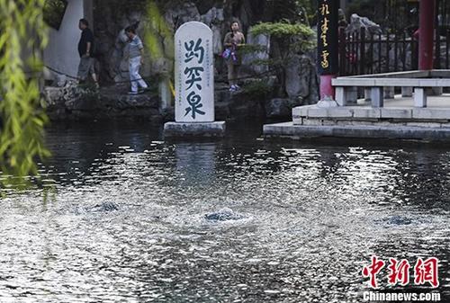 趵突泉再遇停喷危机 提前3个月跌破橙色警戒线