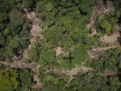 “地球之肺”亚马孙雨林碳汇能力受砍伐和气候变化影响