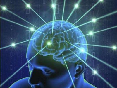 人类首张脑电波连接全图问世！揭示记忆形成机制