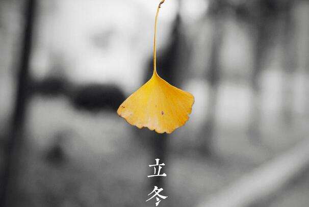 马上立冬啦！深圳干燥天气将进一步缓解