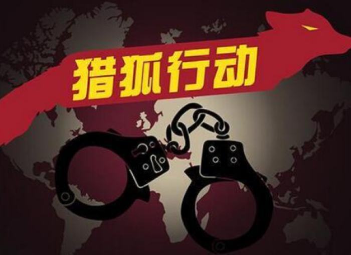 公安部:十八大以来境外