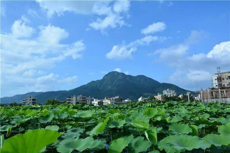 深圳对口帮扶汕尾 | 贫困村不仅要脱贫 还要争当