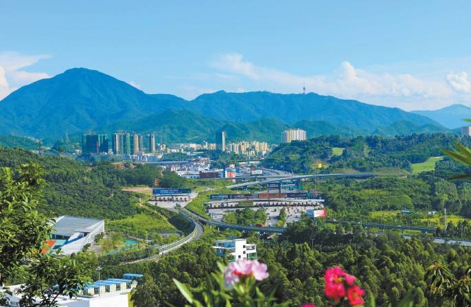 举案说法！龙岗区安监局“工伤预防”培训走进园区