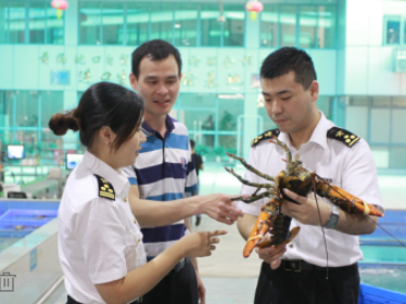 双十一深圳“海淘”订单预计增长20倍，你的快递到哪了？
