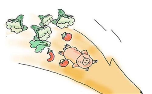连涨三个月后，深圳菜价终于高位回落了！